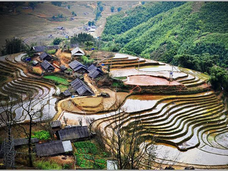 Tản văn của Quỳnh Hoa (Khương Thượng, Đống Đa, H&agrave; Nội)